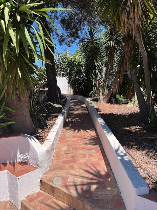 Beautiful Private Villa With Pool, Boliqueime, Loule Buitenkant foto